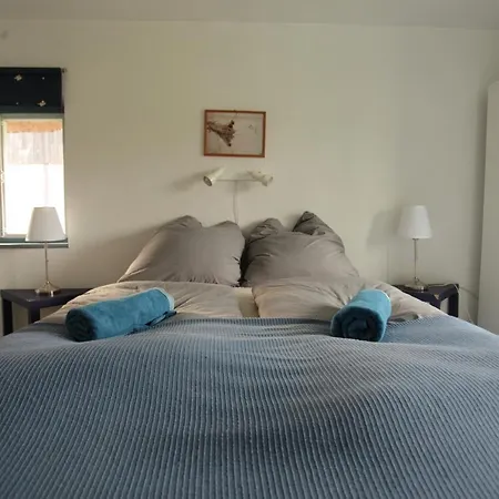 Reetdachkate Am Feldrand Mit Grandiosem Weitblick *