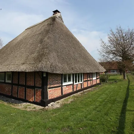 Reetdachkate Am Feldrand Mit Grandiosem Weitblick Chalet Damlos