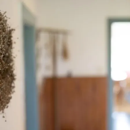 Reetdachkate Am Feldrand Mit Grandiosem Weitblick