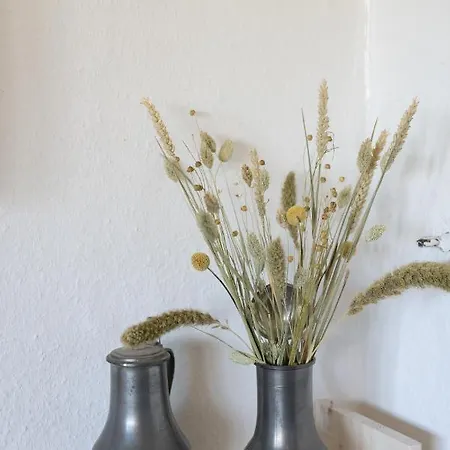 Reetdachkate Am Feldrand Mit Grandiosem Weitblick Chalet Damlos