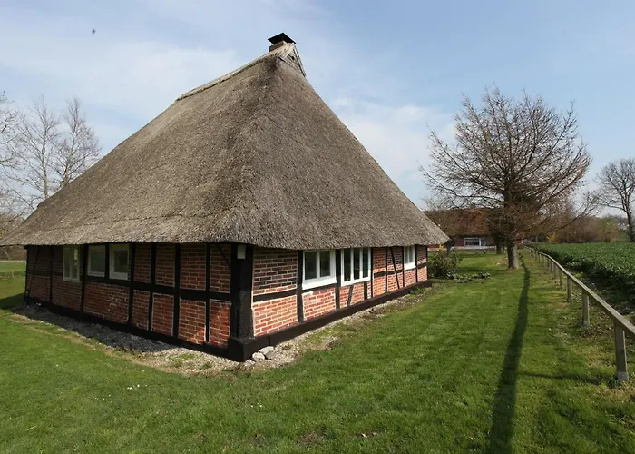 Reetdachkate Am Feldrand Mit Grandiosem Weitblick Alpehytte Damlos
