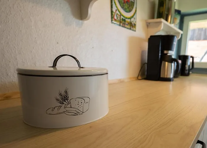 Reetdachkate Am Feldrand Mit Grandiosem Weitblick Damlos