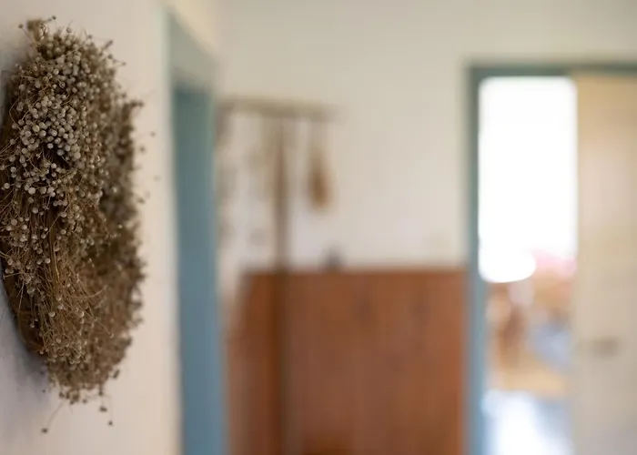 Reetdachkate Am Feldrand Mit Grandiosem Weitblick