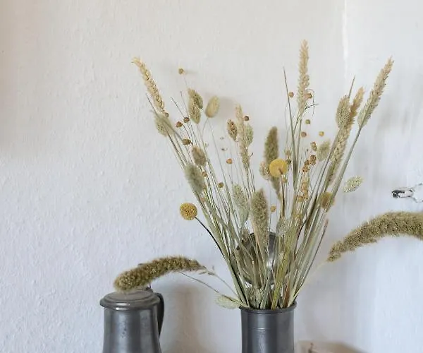 Reetdachkate Am Feldrand Mit Grandiosem Weitblick Alpehytte Damlos