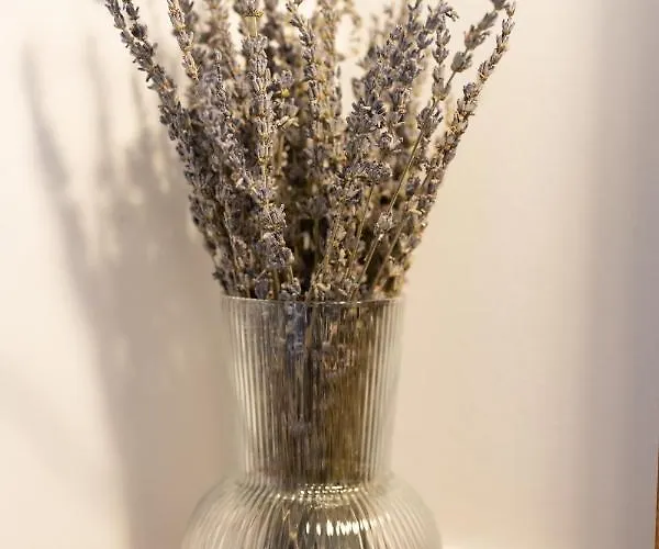 Reetdachkate Am Feldrand Mit Grandiosem Weitblick